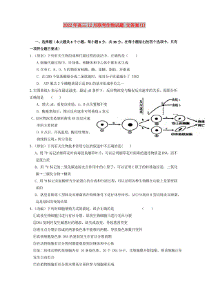 2022年高三12月聯(lián)考生物試題 無答案(I)