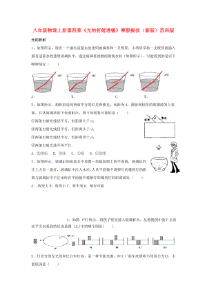 八年級物理上冊第四章《光的折射透鏡》寒假提優(yōu)（新版）蘇科版