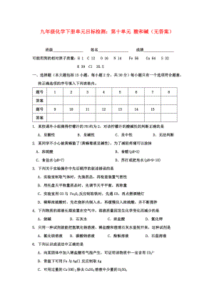 九年級化學下冊單元目標檢測：第十單元 酸和堿（無答案）