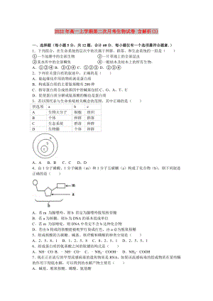 2022年高一上學(xué)期第二次月考生物試卷 含解析(I)