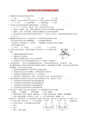 2022年高二生物 生物的新陳代謝練習(xí)