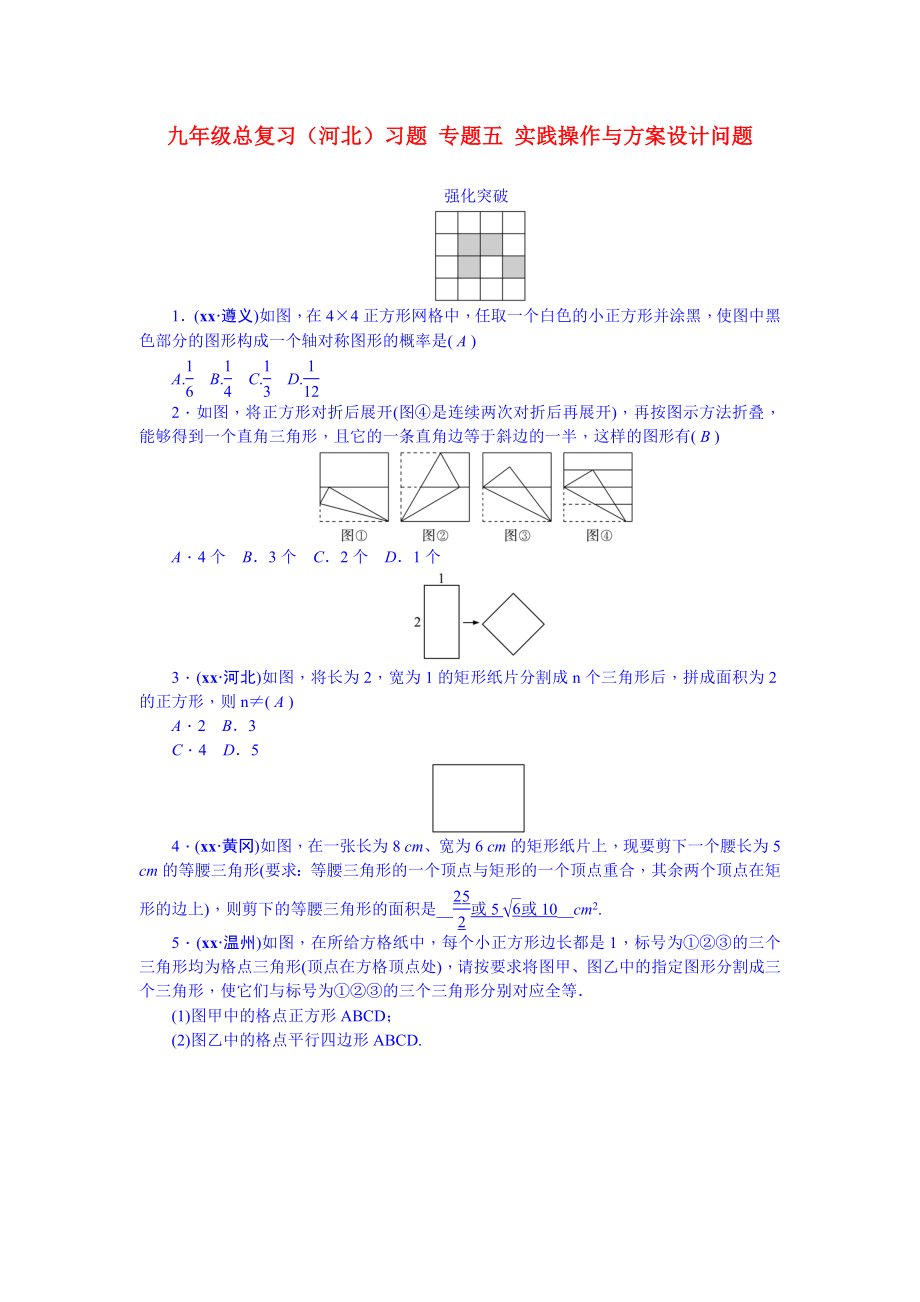 九年級總復(fù)習(xí)（河北）習(xí)題 專題五 實踐操作與方案設(shè)計問題_第1頁