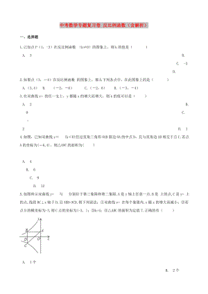 中考數(shù)學專題復習卷 反比例函數(shù)（含解析）