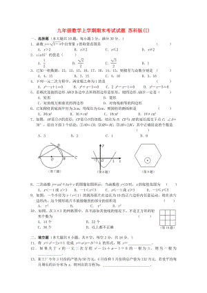 九年級數(shù)學(xué)上學(xué)期期末考試試題 蘇科版(I)