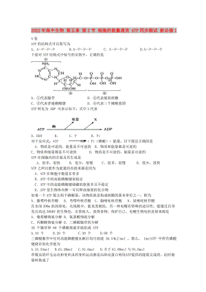 2022年高中生物 第五章 第2節(jié) 細(xì)胞的能量通貨 ATP同步測(cè)試 新必修1