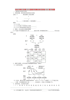 2022年高三生物 2.3孟德?tīng)柕耐愣闺s交實(shí)驗(yàn)（2）復(fù)習(xí)試題