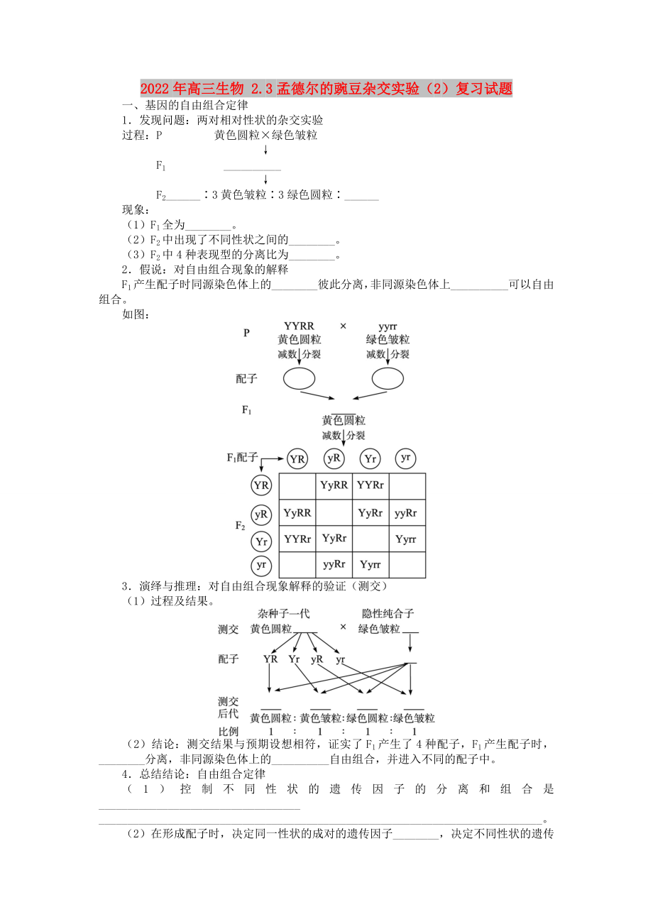 2022年高三生物 2.3孟德爾的豌豆雜交實(shí)驗(yàn)（2）復(fù)習(xí)試題_第1頁