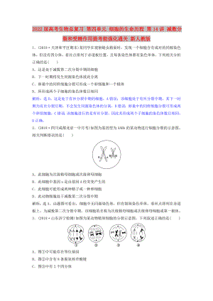 2022屆高考生物總復(fù)習(xí) 第四單元 細(xì)胞的生命歷程 第14講 減數(shù)分裂和受精作用提考能強(qiáng)化通關(guān) 新人教版