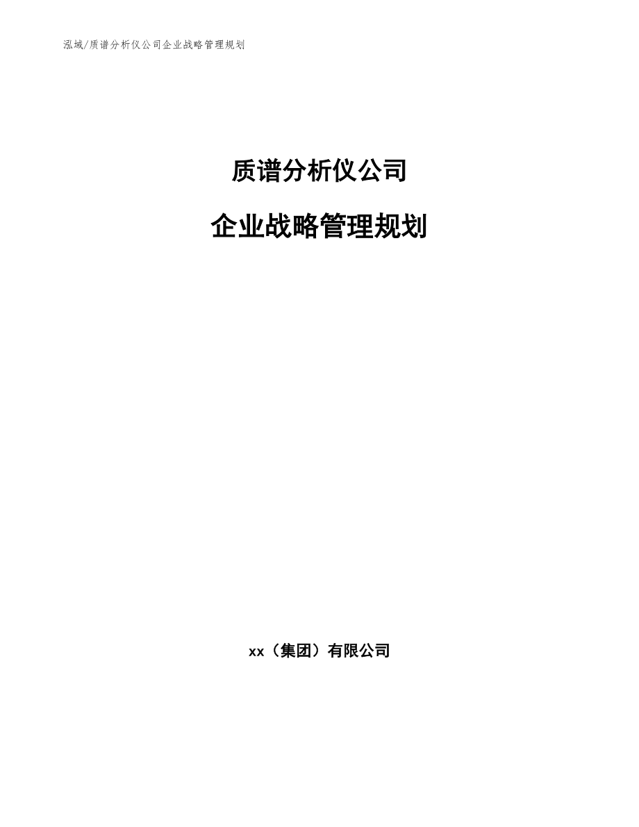 质谱分析仪公司企业战略管理规划（参考）_第1页