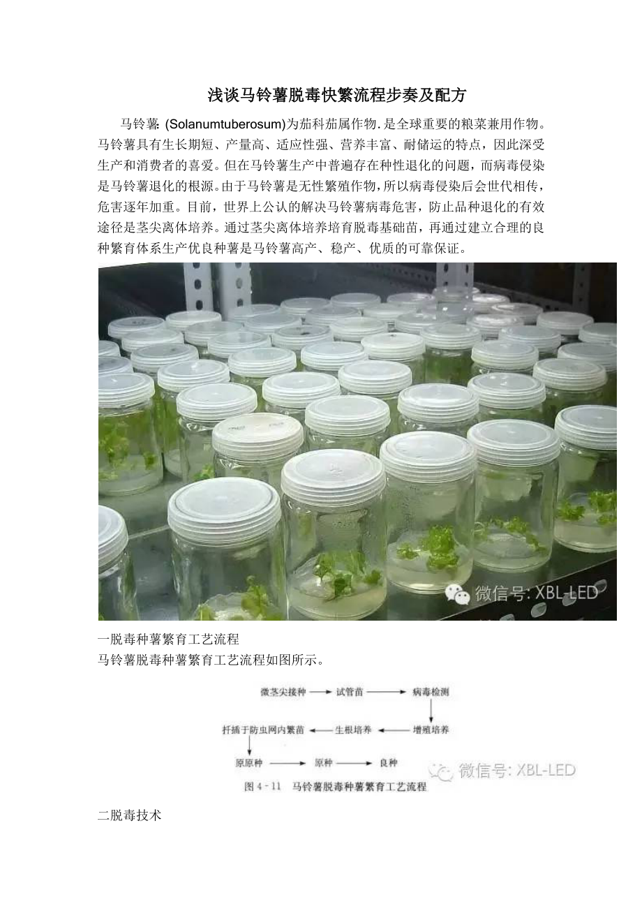 浅谈马铃薯脱毒快繁流程步奏及配方_第1页