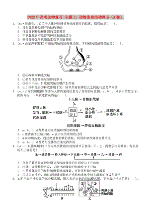 2022年高考生物復(fù)習(xí) 專題11 動(dòng)物生命活動(dòng)調(diào)節(jié)（A卷）