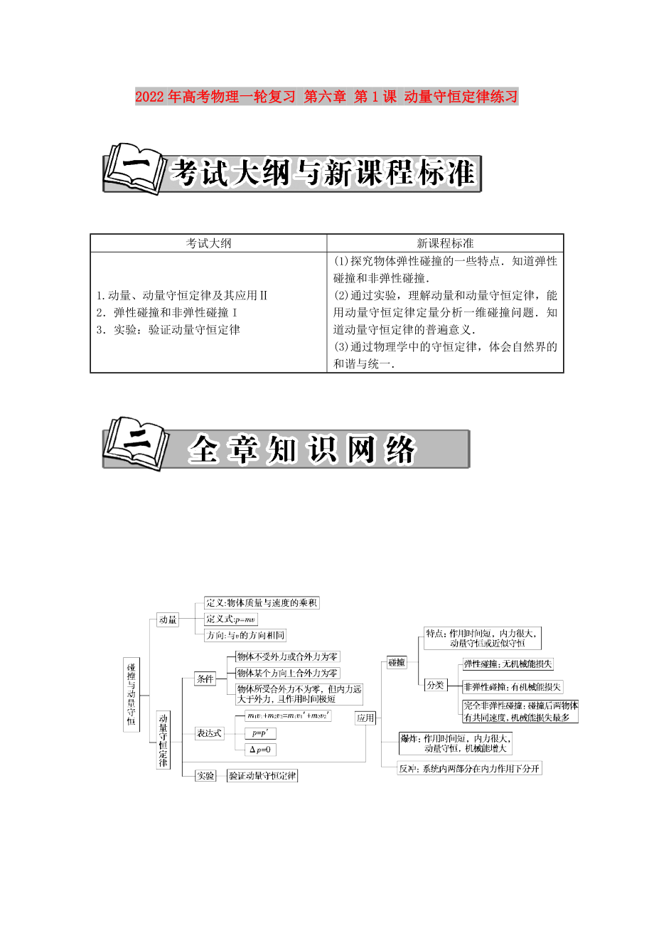 2022年高考物理一輪復習 第六章 第1課 動量守恒定律練習_第1頁