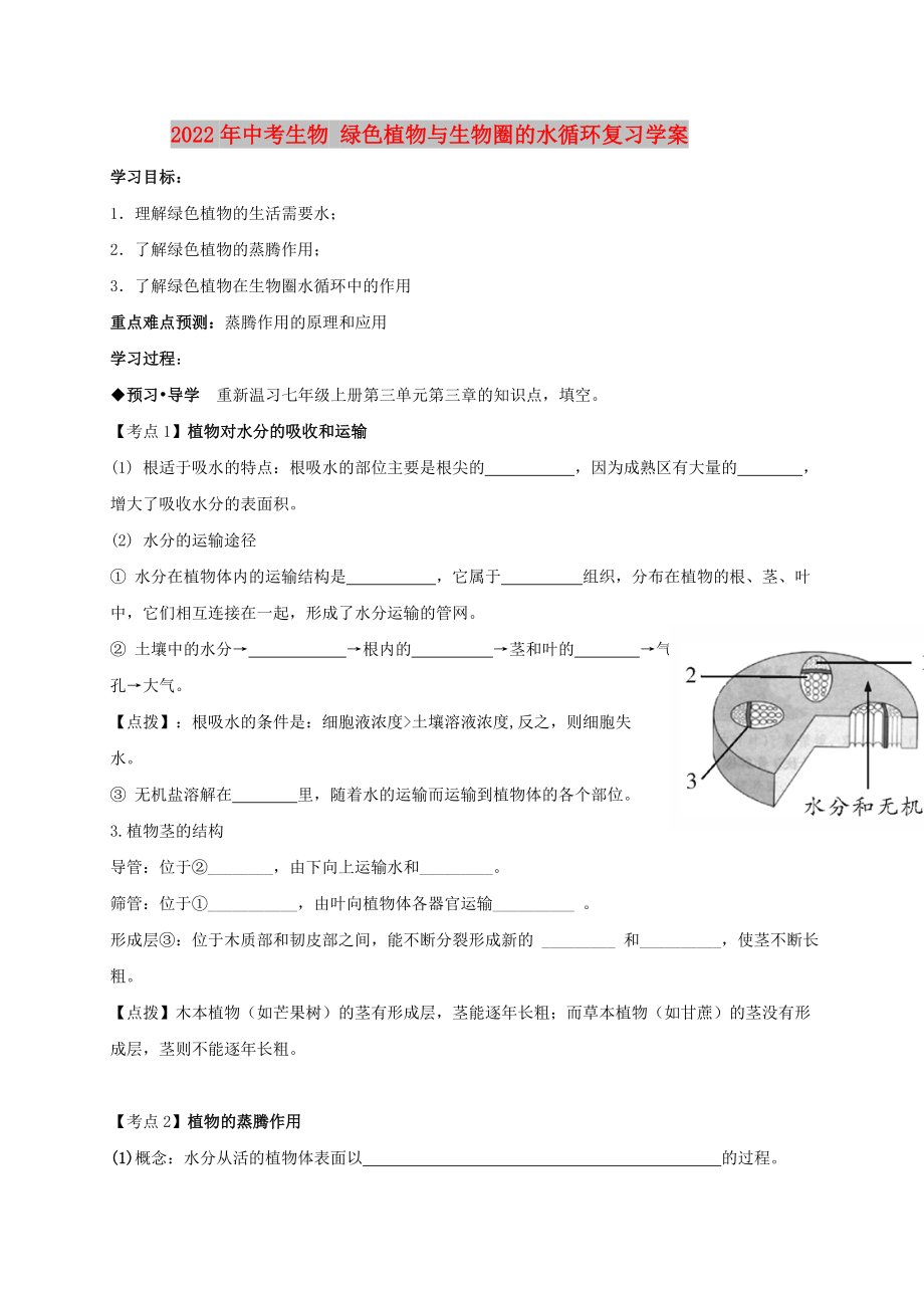 2022年中考生物 綠色植物與生物圈的水循環(huán)復(fù)習(xí)學(xué)案_第1頁