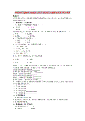 2022年中考化學(xué) 專題復(fù)習(xí)十六 物質(zhì)的多樣性導(dǎo)學(xué)案 新人教版