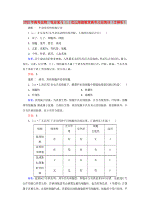 2022年高考生物一輪總復(fù)習 1.1走近細胞隨堂高考分組集訓(xùn)（含解析）