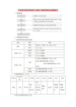 廣東省中考化學(xué)總復(fù)習(xí) 專題二 物質(zhì)的轉(zhuǎn)化與推斷練習(xí)