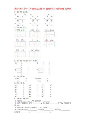 2022-2023學(xué)年二年級語文上冊 20 我是什么3同步試題 北京版