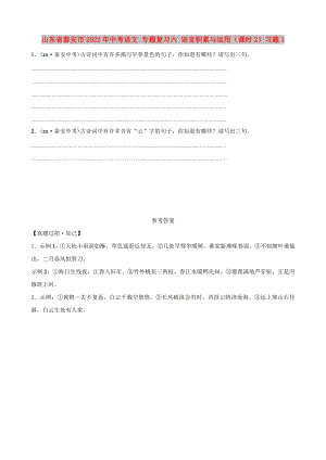 山東省泰安市2022年中考語文 專題復(fù)習(xí)六 語言積累與運用（課時2）習(xí)題1