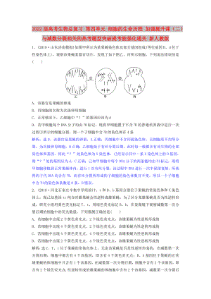 2022屆高考生物總復(fù)習(xí) 第四單元 細胞的生命歷程 加強提升課（二）與減數(shù)分裂相關(guān)的熱考題型突破提考能強化通關(guān) 新人教版