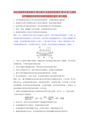 2022屆高考生物總復(fù)習(xí) 第八單元 生命活動(dòng)的調(diào)節(jié) 第25講 人體的內(nèi)環(huán)境穩(wěn)態(tài)及實(shí)例分析提考能強(qiáng)化通關(guān) 新人教版