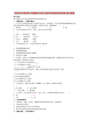 2022年中考化學 專題復習十四 生活中常見的鹽導學案 新人教版