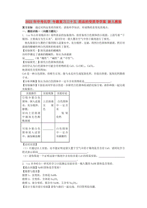 2022年中考化學 專題復習三十五 藥品的變質(zhì)導學案 新人教版