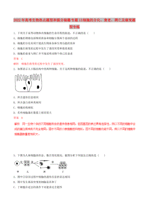 2022年高考生物熱點(diǎn)題型和提分秘籍 專(zhuān)題13 細(xì)胞的分化、衰老、凋亡及癌變題型專(zhuān)練