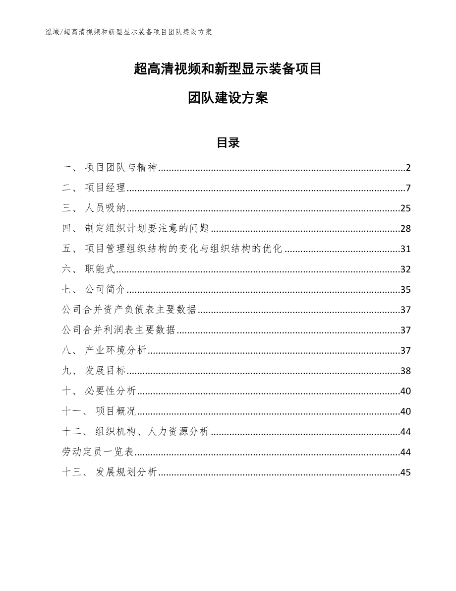 超高清视频和新型显示装备项目团队建设方案_第1页