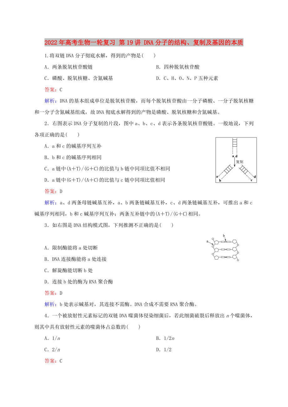 2022年高考生物一輪復(fù)習(xí) 第19講 DNA分子的結(jié)構(gòu)、復(fù)制及基因的本質(zhì)_第1頁