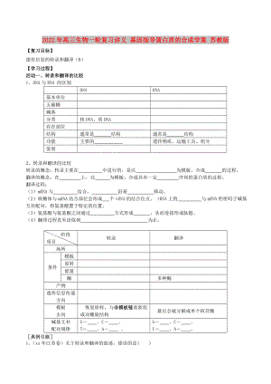 2022年高三生物一輪復(fù)習(xí)講義 基因指導(dǎo)蛋白質(zhì)的合成學(xué)案 蘇教版