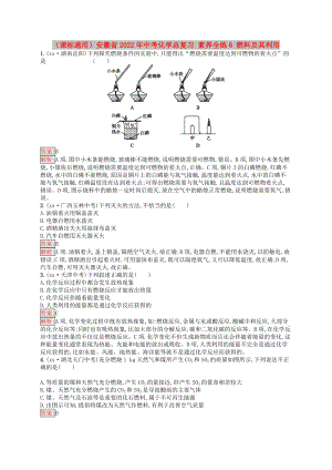 （課標(biāo)通用）安徽省2022年中考化學(xué)總復(fù)習(xí) 素養(yǎng)全練8 燃料及其利用