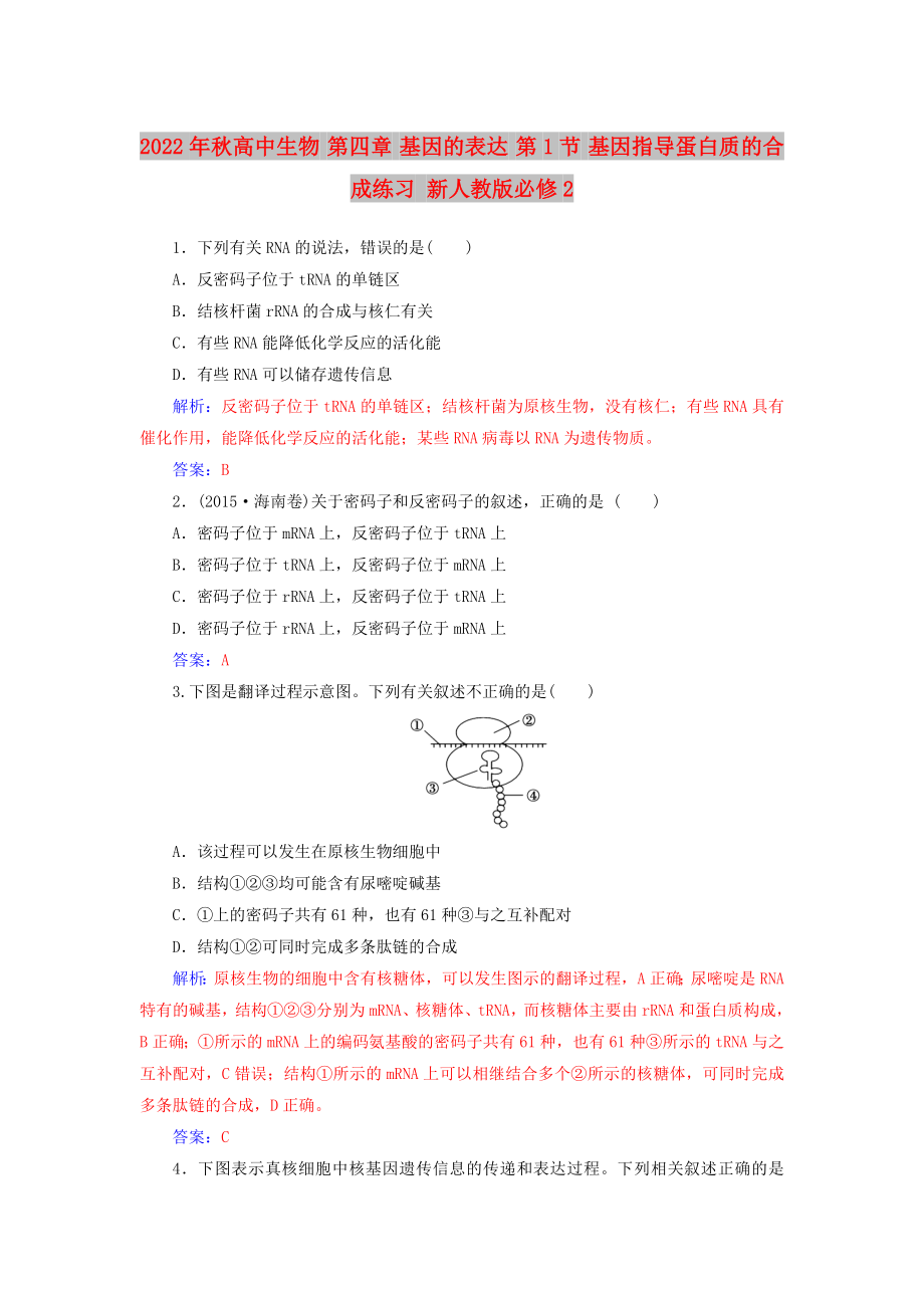 2022年秋高中生物 第四章 基因的表達(dá) 第1節(jié) 基因指導(dǎo)蛋白質(zhì)的合成練習(xí) 新人教版必修2_第1頁