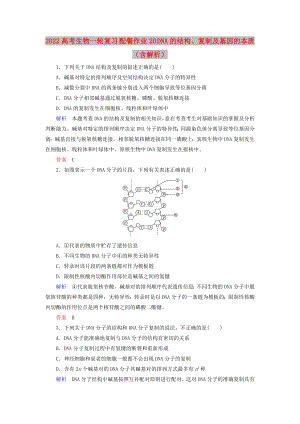 2022高考生物一輪復(fù)習(xí) 配餐作業(yè)20 DNA的結(jié)構(gòu)、復(fù)制及基因的本質(zhì)（含解析）