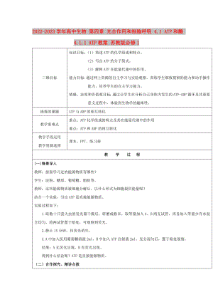 2022-2023學(xué)年高中生物 第四章 光合作用和細(xì)胞呼吸 4.1 ATP和酶 4.1.1 ATP教案 蘇教版必修1