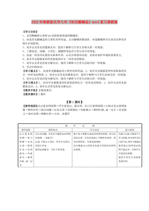 2022年湘教版化學(xué)九年《初識(shí)酸堿鹽》word復(fù)習(xí)課教案