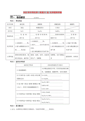 2022年中考化學(xué)一輪復(fù)習(xí) 鹽 化學(xué)肥料學(xué)案