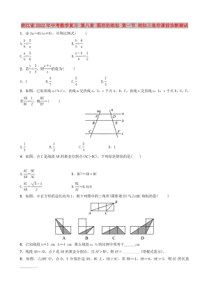 浙江省2022年中考數(shù)學(xué)復(fù)習(xí) 第八章 圖形的相似 第一節(jié) 相似三角形課前診斷測(cè)試