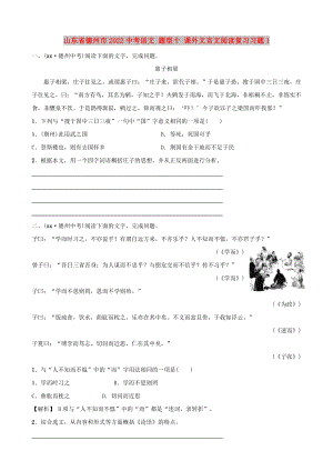 山東省德州市2022中考語(yǔ)文 題型十 課外文言文閱讀復(fù)習(xí)習(xí)題1