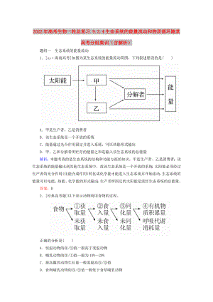 2022年高考生物一輪總復(fù)習(xí) 9.3.4生態(tài)系統(tǒng)的能量流動(dòng)和物質(zhì)循環(huán)隨堂高考分組集訓(xùn)（含解析）