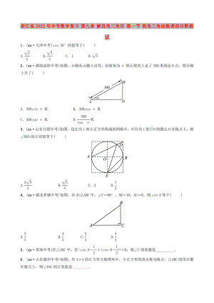 浙江省2022年中考數(shù)學(xué)復(fù)習(xí) 第九章 解直角三角形 第一節(jié) 銳角三角函數(shù)課前診斷測(cè)試