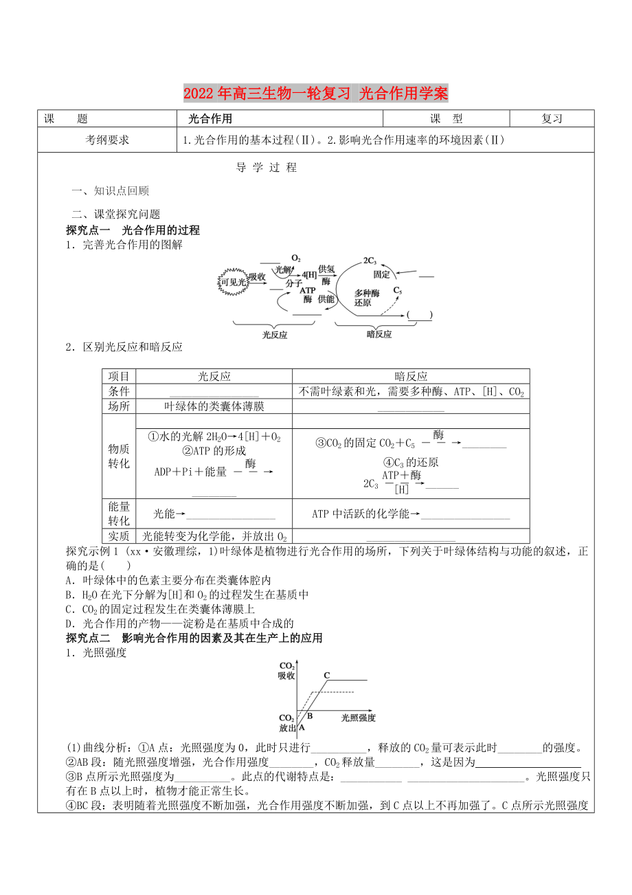 2022年高三生物一輪復習 光合作用學案_第1頁