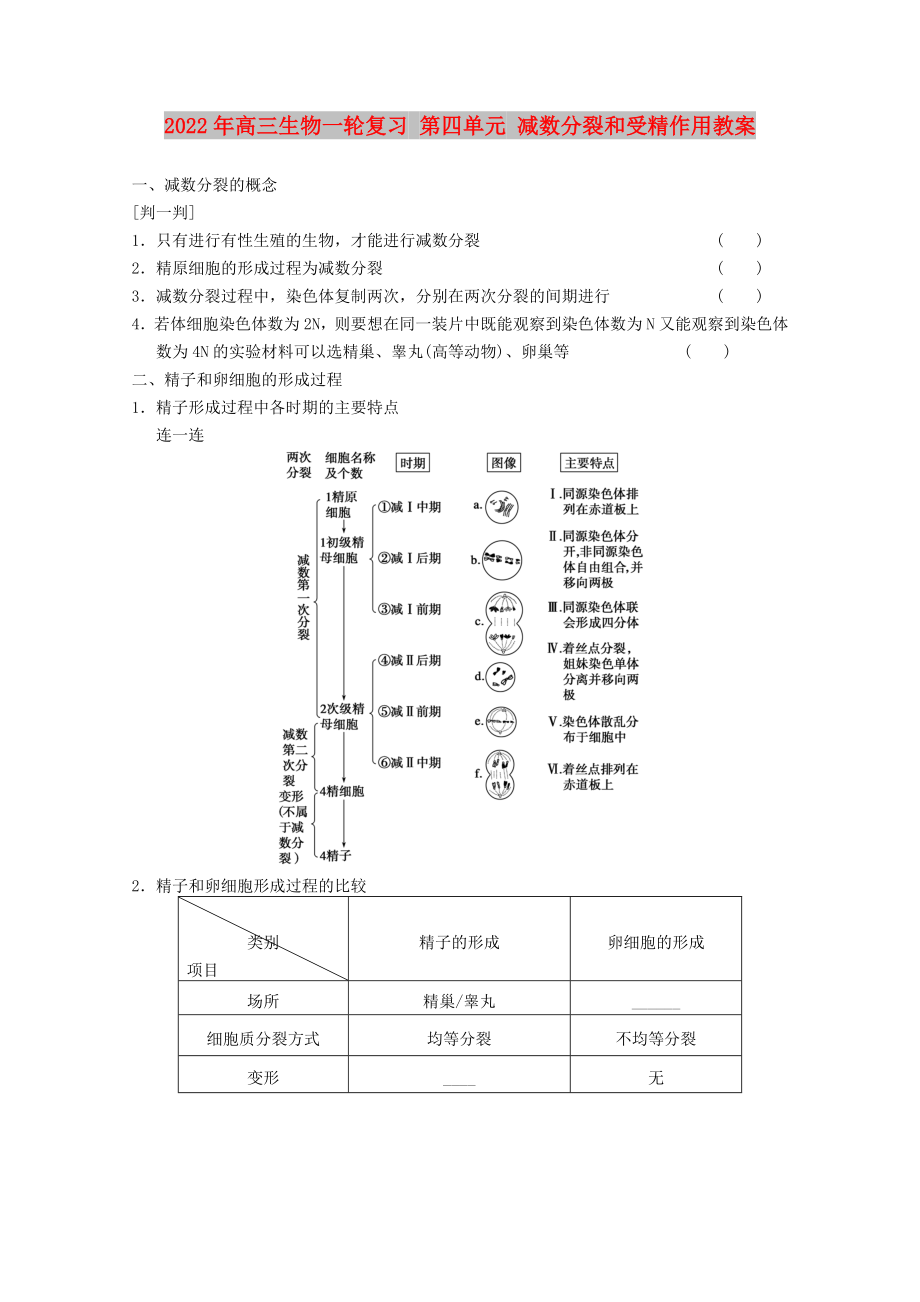 2022年高三生物一輪復(fù)習(xí) 第四單元 減數(shù)分裂和受精作用教案_第1頁