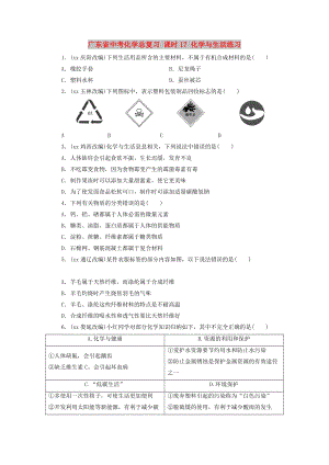 廣東省中考化學(xué)總復(fù)習(xí) 課時(shí)17 化學(xué)與生活練習(xí)