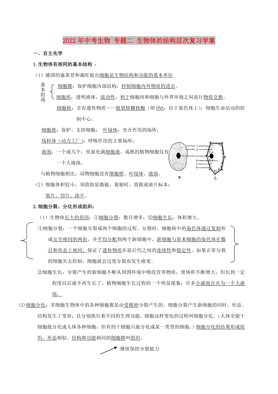 2022年中考生物 專題二 生物體的結(jié)構(gòu)層次復(fù)習(xí)學(xué)案_第1頁(yè)