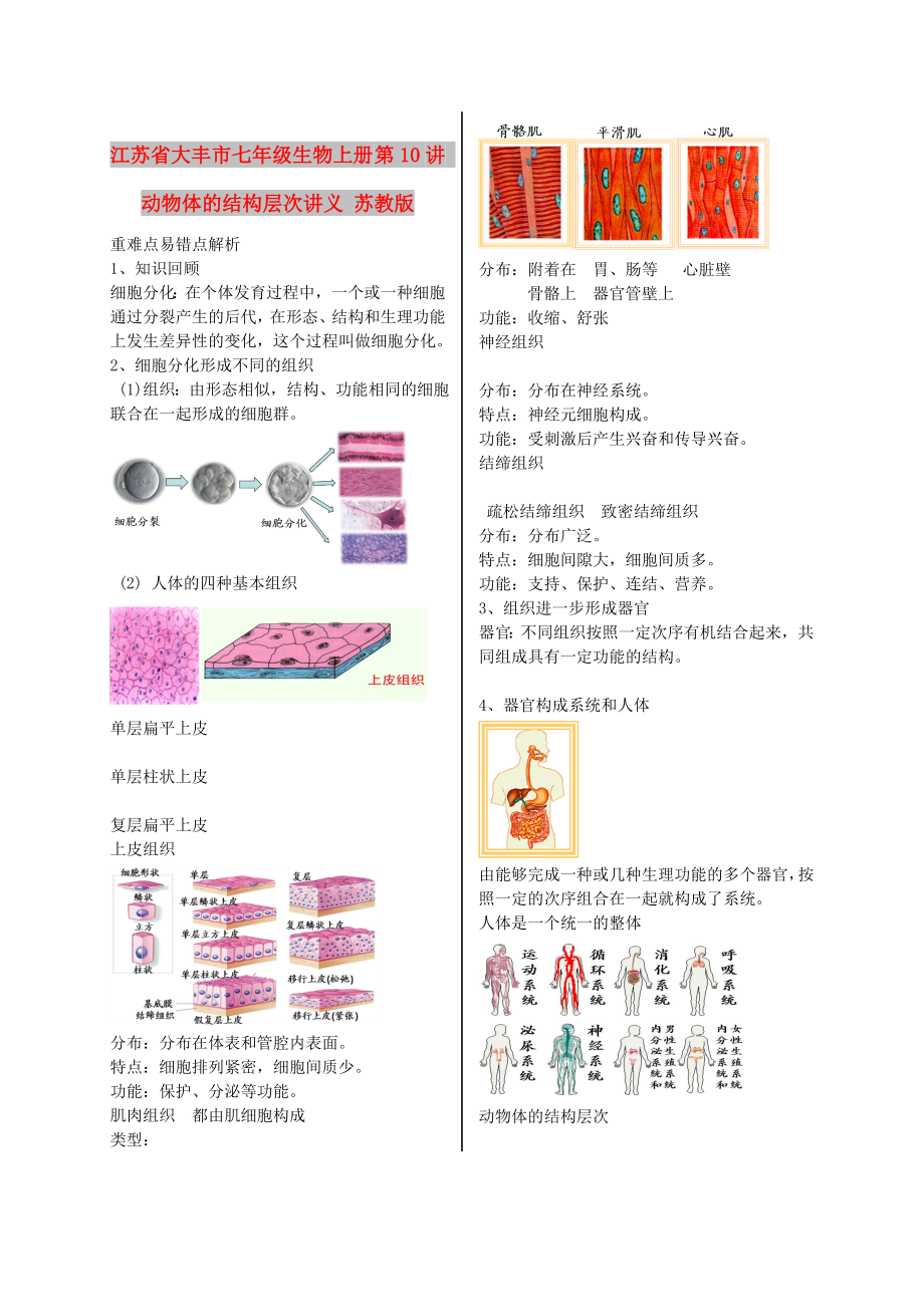 江蘇省大豐市七年級生物上冊 第10講 動物體的結(jié)構(gòu)層次講義 蘇教版_第1頁