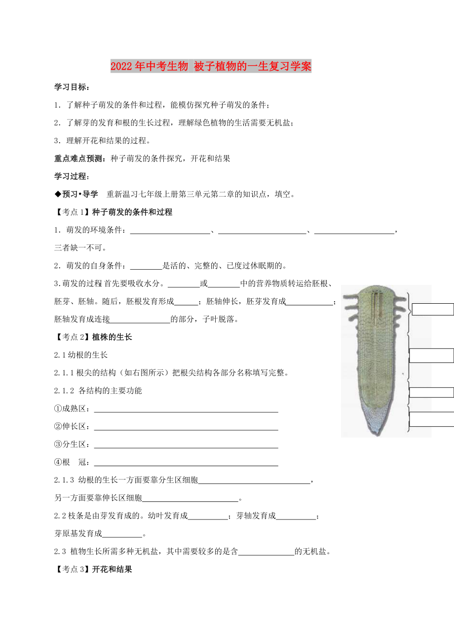 2022年中考生物 被子植物的一生復(fù)習(xí)學(xué)案_第1頁