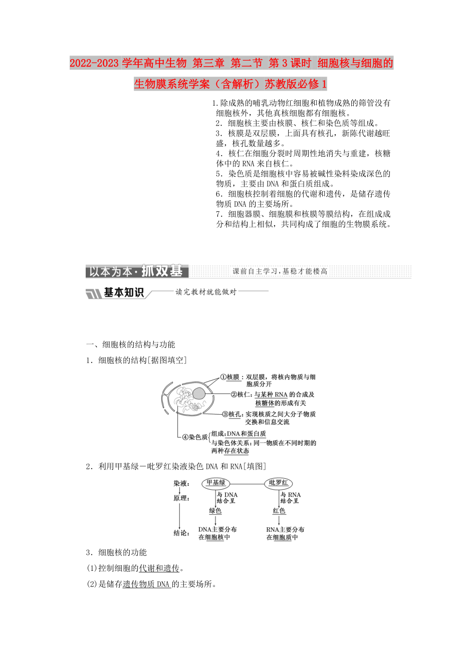 2022-2023學(xué)年高中生物 第三章 第二節(jié) 第3課時(shí) 細(xì)胞核與細(xì)胞的生物膜系統(tǒng)學(xué)案（含解析）蘇教版必修1_第1頁(yè)