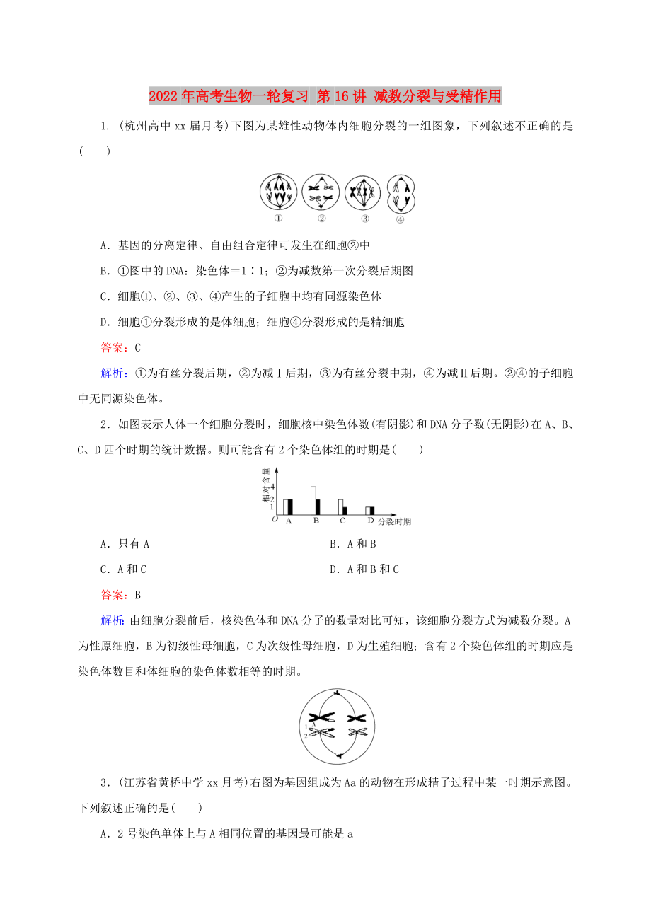 2022年高考生物一轮复习 第16讲 减数分裂与受精作用_第1页