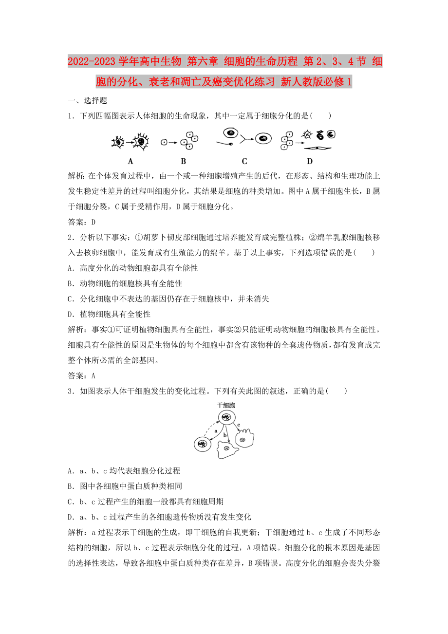 2022-2023學年高中生物 第六章 細胞的生命歷程 第2、3、4節(jié) 細胞的分化、衰老和凋亡及癌變優(yōu)化練習 新人教版必修1_第1頁