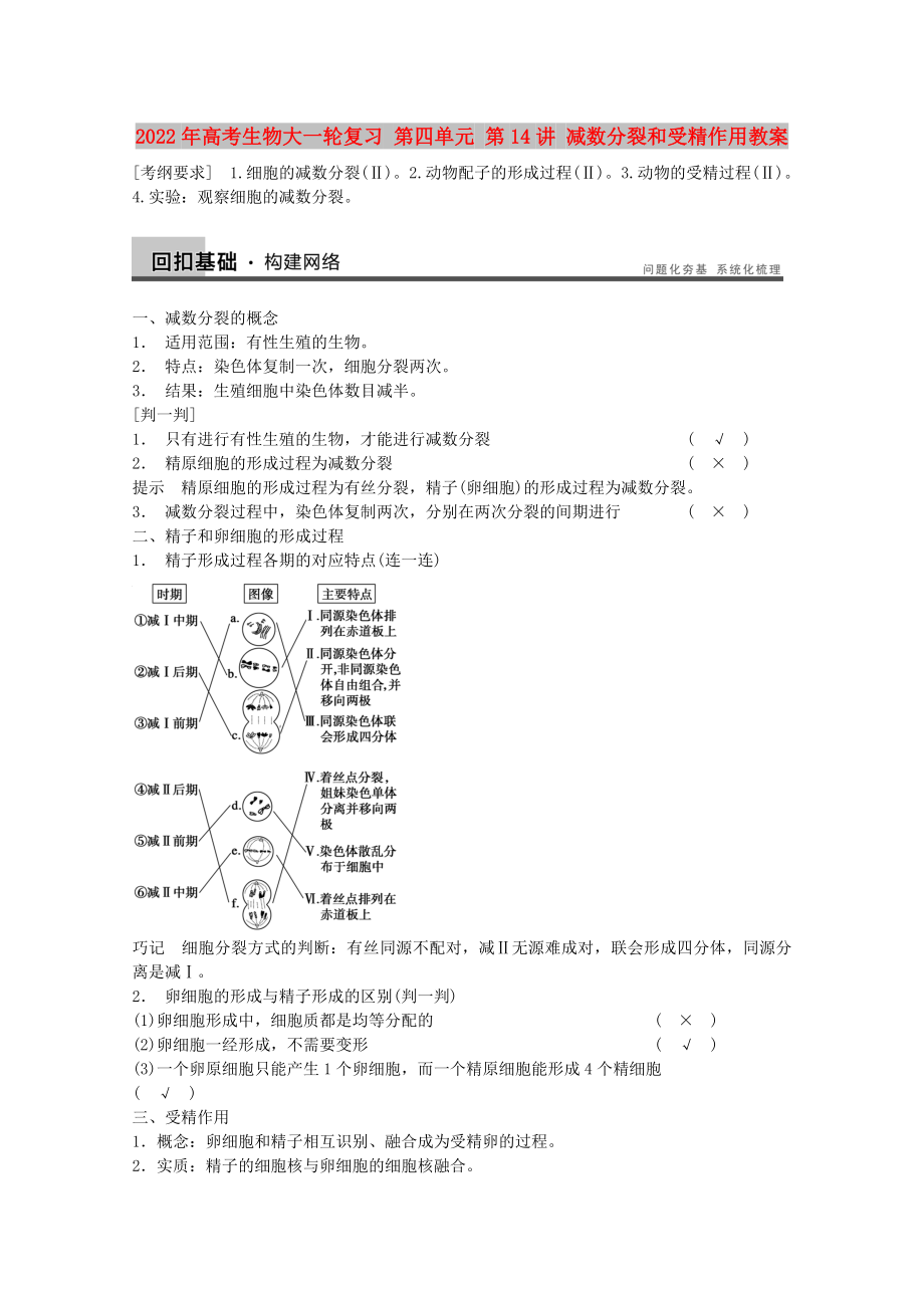 2022年高考生物大一輪復(fù)習(xí) 第四單元 第14講 減數(shù)分裂和受精作用教案_第1頁